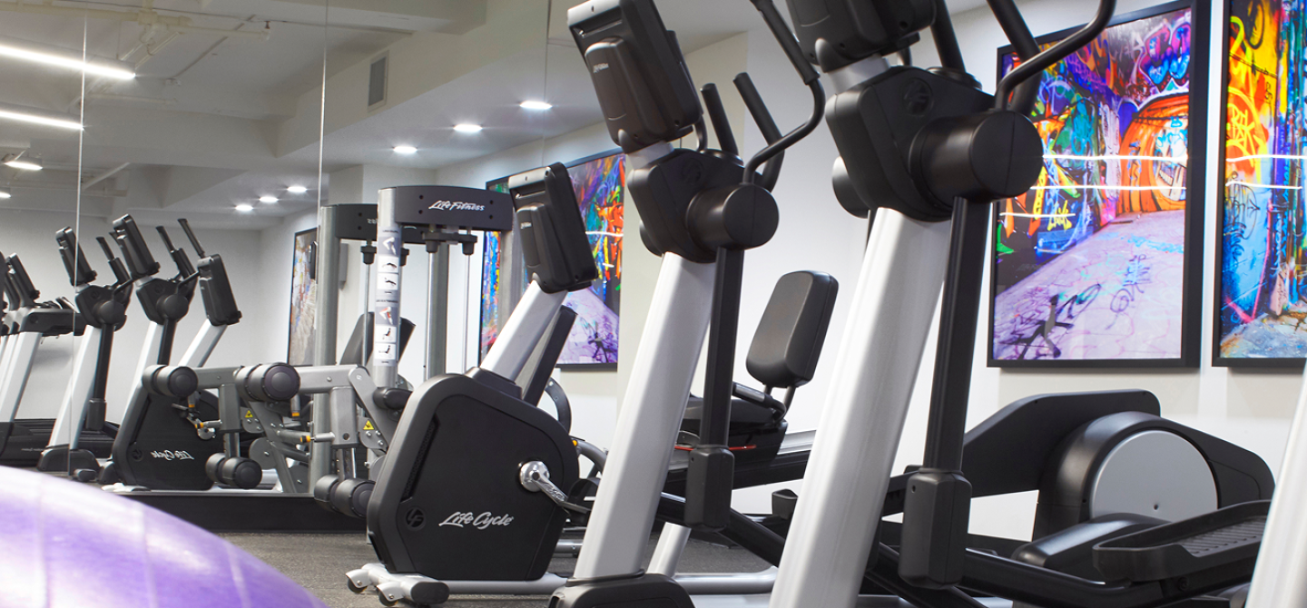 State-of-the-art gym featuring Hydrow rowing machines and Echelon training bikes at 18 Brownlow.